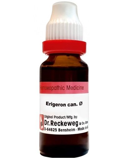 Dr Reckeweg Echinacea Purpurea Mother Tincture Q drop - 20 ml