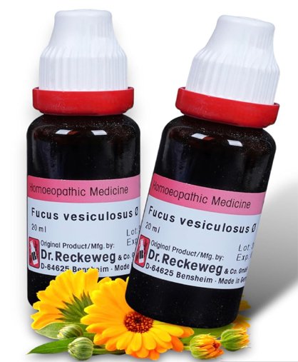 Dr. Reckeweg Fucus Vesiculosus Mother Tincture Q drop - 20 ml