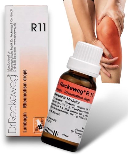 Dr. Reckeweg R11 Rheumatism Drop | For Pain Relief  -22ml (Pack of 1)