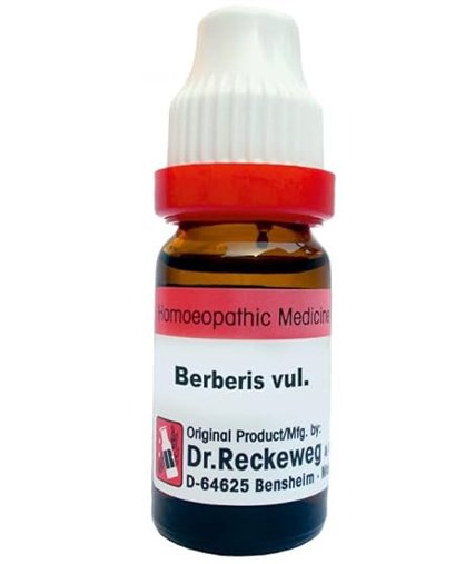 Dr. Reckeweg Berberis Vul Dilution 1000 CH - 11 ml