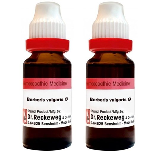 Dr Reckeweg Berberis Vulgaris 1X (Q) - 20 ml (Pack of 2)