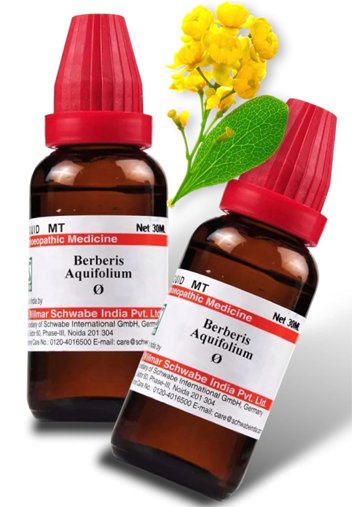 Dr Willmar Schwabe India Berberis Aquifolium Mother Tincture Q - 30 ml (Pack of 2)