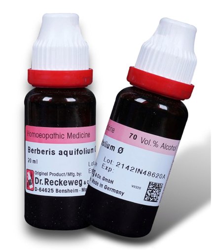 Dr. Reckeweg Berberis Aquif Mother Tincture Q - 20 ml (Pack of 2)