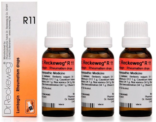 Dr. Reckeweg R11 Rheumatism Drop | For Pain Relief  -22ml (Pack of 3)