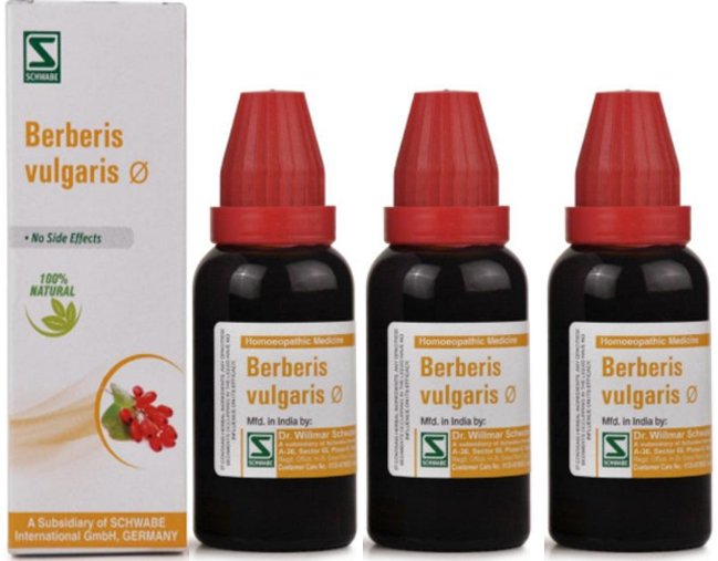 Dr Willmar Schwabe India Berberis Vulgaris Mother Tincture Q  - 30 ml (Pack of 3)
