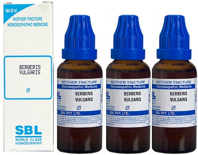 SBL Berberis Vulgaris Mother Tincture Q - 30 ml (Pack of 3)