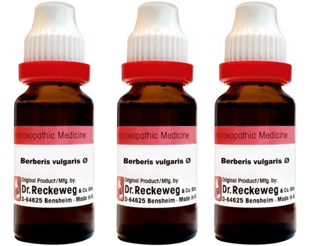 Dr Reckeweg Berberis Vulgaris 1X (Q) - 20 ml (Pack of 3)