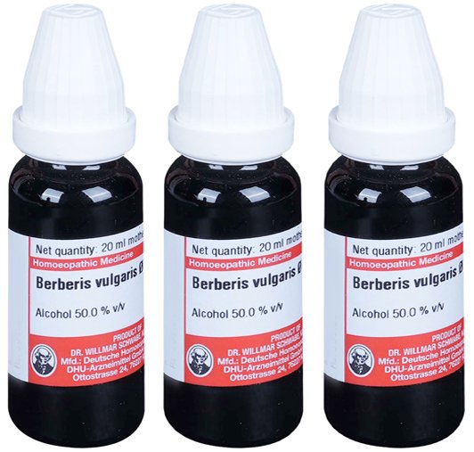Dr Willmar Schwabe Germany Berberis Vulgaris 1X (Q) - 20 ml (Pack of 3)