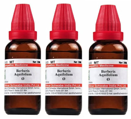 Dr Willmar Schwabe India Berberis Aquifolium Mother Tincture Q - 30 ml (Pack of 3)