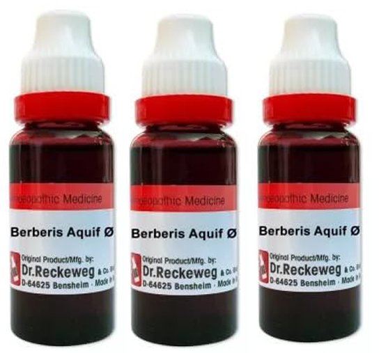 Dr. Reckeweg Berberis Aquif Mother Tincture Q - 20 ml (Pack of 3)