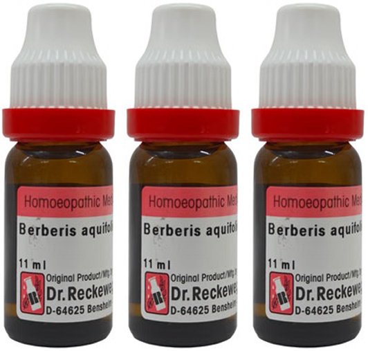 Dr. Reckeweg Berberis Aqui Dilution 1000 CH - 11 ml (Pack of 3)