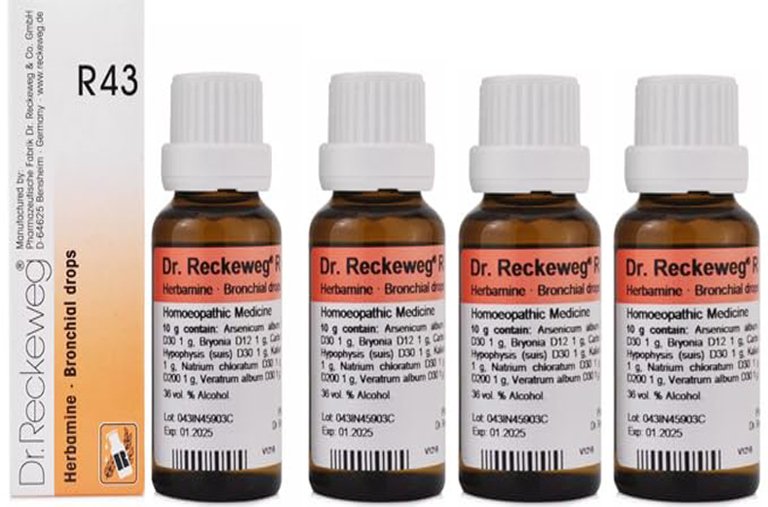 Dr. Reckeweg R43 Bronchial Drop - 22ml (Pack of 4)