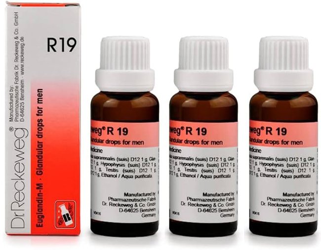 Dr. Reckeweg R19 Glandular Drops for Men - 22ml (Pack of 3)