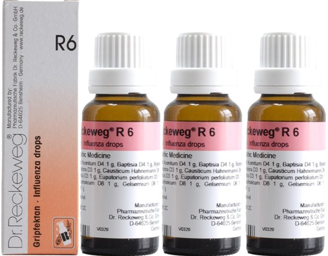 Dr. Reckeweg R6 Influenza Drop Oral Drops - 22ml (Pack of 3)