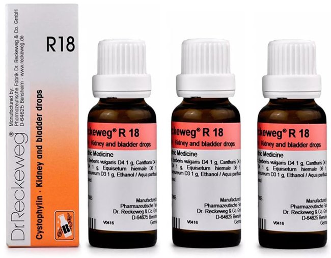 Dr. Reckeweg R18 Kidney And Bladder Drops - 22ml (Pack of 3)