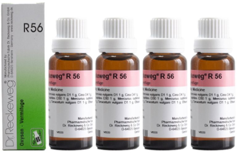 Dr. Reckeweg R56 Oxysan Vermifuge Drops -22ml (Pack of 4)