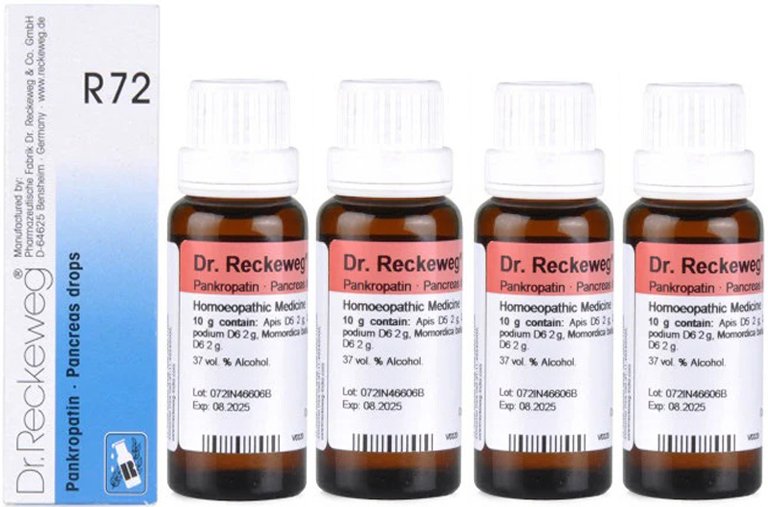 Dr. Reckeweg R72 Pancreas Drops - 22 ml (Pack of 4)