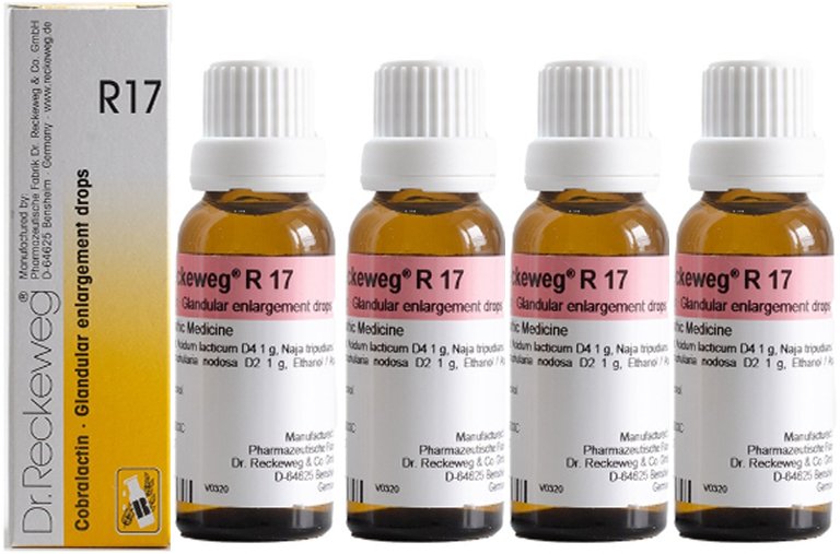 Dr. Reckeweg R17 Glandular Enlargement Drop - 22ml (Pack of 4)