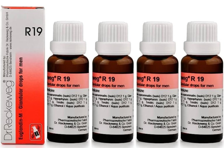 Dr. Reckeweg R19 Glandular Drops for Men - 22ml (Pack of 4)