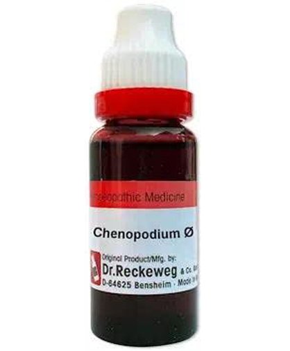 Dr. Reckeweg Chenopodium Anthelminticum Mother Tincture Q drop - 20 ml
