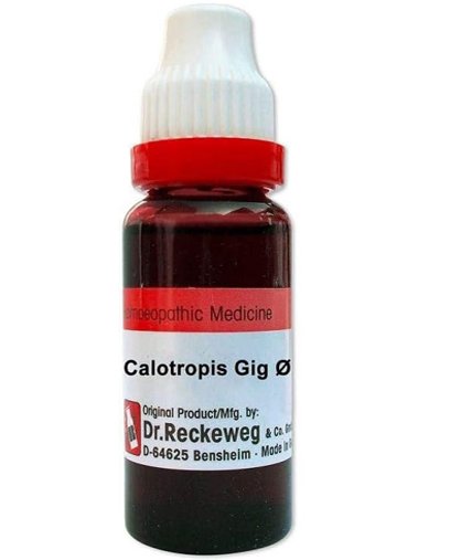 Dr. Reckeweg Calotropis G Mother Tincture Q drop - 20 ml (Copy)