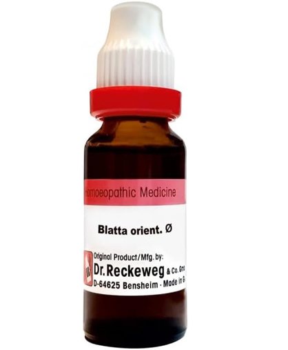 Dr. Reckeweg Blatta Ori Mother Tincture Q drop - 20 ml