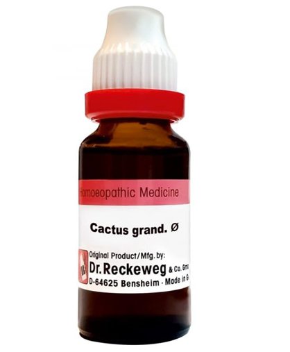 Dr. Reckeweg Cactus Grand Mother Tincture Q drop - 20 ml
