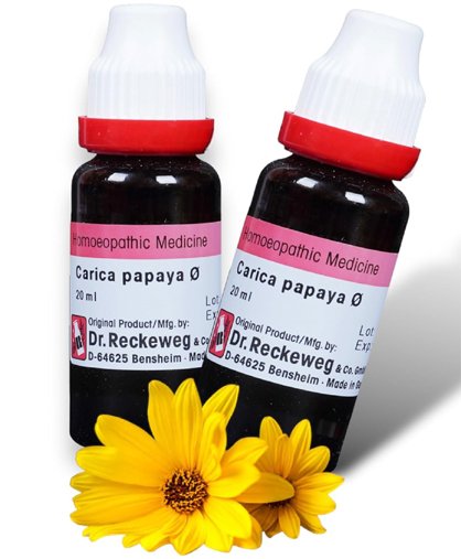 Dr. Reckeweg Carica Papaya Mother Tincture Q For Liver Care drop - 20 ml