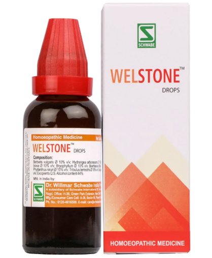 Dr. Willmar Schwabe India Welstone Drop - 30 ml