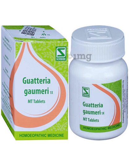 Dr Willmar Schwabe Guatteria Gaumeri MT Tablet 1X - 20 gm