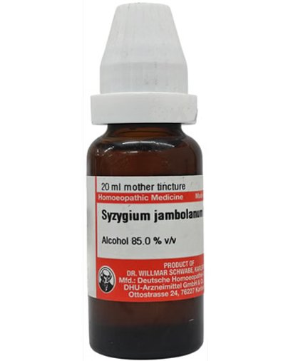 Dr Willmar Schwabe Germany Syzygium Jambolanum Mother Tincture Q - 20 ml