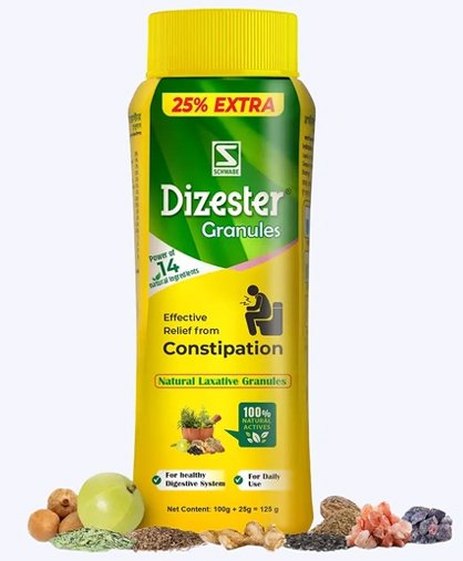 Dr Willmar Schwabe Dizester Granules - 125 gm