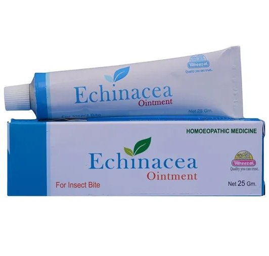 Wheezal Homoeopathy Echinacea Ointment - 25 gm